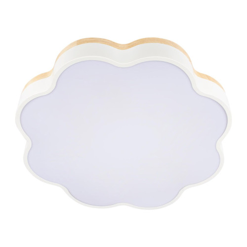 Потолочный светильник Loft IT Axel 10225/36 White