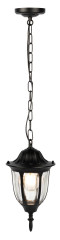 Уличный подвесной светильник ЭРА Галатея GBS-105-BL-0800 230В Е27 IP54 чёрный Б0071486