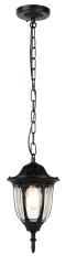 Уличный подвесной светильник ЭРА Галатея GBS-105-BL-0800 230В Е27 IP54 чёрный Б0071486