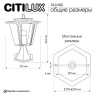 Ландшафтный светильник Citilux Forts CLU10C