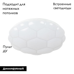 Потолочный светодиодный светильник Arte Lamp Biscotti A2676PL-72WH