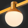 Трековый магнитный светильник ST Luce Farm ST815.206.05