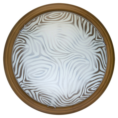 Настенно-потолочный светодиодный светильник Toplight Agatha TL9260Y-00OA