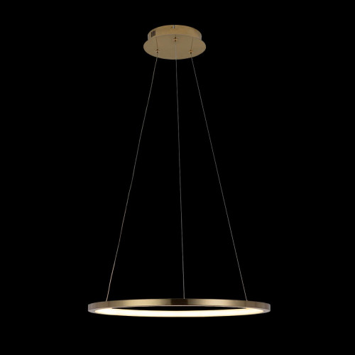 Подвесной светодиодный светильник Loft IT Ring 10014M
