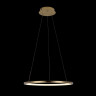 Подвесной светодиодный светильник Loft IT Ring 10014M