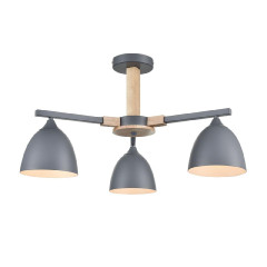 Люстра на штанге Lumion Colange 8096/3C