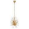 Подвесная люстра Loft IT Splash 10418/6