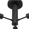 Потолочная люстра Vitaluce V3953-1/3PL