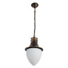 Уличный подвесной светильник Arte Lamp Vienna A1317SO-1BN