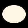 Потолочный светильник Loft IT Brim 10226 Black