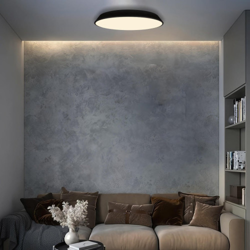 Потолочный светильник Loft IT Brim 10226 Black