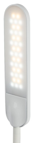 Настольная лампа Эра NLED-481-10W-W Б0048591