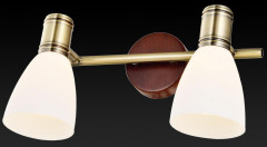 Спот Toplight Sharyl TL3720Y-02BB