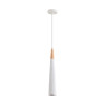Подвесной светильник Lumion Suspentioni Eoliana 8352/1C