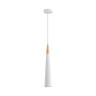 Подвесной светильник Lumion Suspentioni Eoliana 8352/1C
