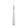 Подвесной светильник Lumion Suspentioni Eoliana 8352/1C