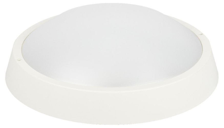 Настенно-потолочный светильник Эра SPB-203-0-40К-024 Б0062728