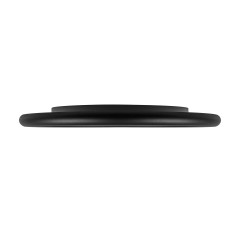 Потолочный светильник  LOFT IT Sweety 10454/500 Black