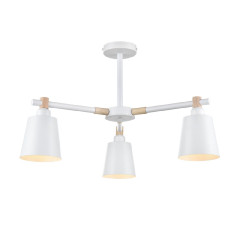 Люстра на штанге Lumion Rosalina 8097/3C