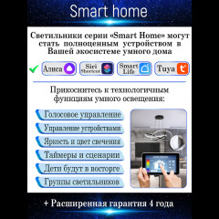 Потолочная люстра Natali Kovaltseva LED LAMPS 81217
