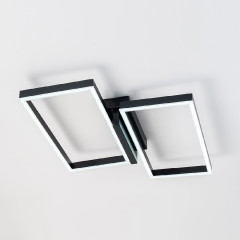 Потолочный светильник Escada Scales 10209/2LED Black