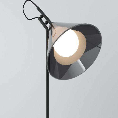 Настольная лампа Eurosvet Enigma 01186/1 черный a069059