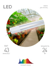 Светильник для растений Эра FITO-24W-Ra90-N Б0061422