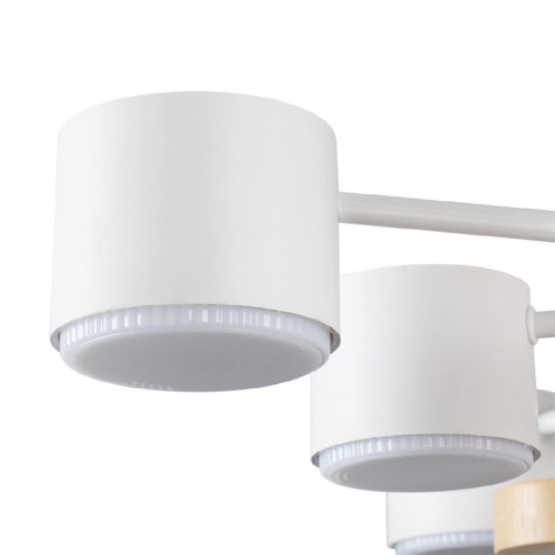 Люстра на штанге Lumion Rondo 8196/10C