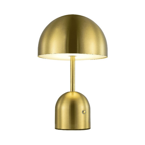 Настольная лампа Evoluce Eclat SLE1806-204-01