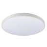 Потолочный cветильник Nowodvorski Agnes Round Led Pro White 10980