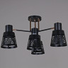 Потолочная люстра Reluce 06074-3.3-04 BK+FG