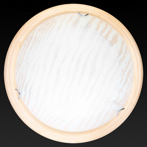 Настенно-потолочный светодиодный светильник Toplight Calista TL9490Y-00PN