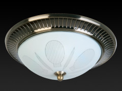 Накладной светильник Toplight Fae TL5060Y-02AB