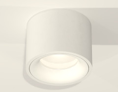 Потолочный светильник Ambrella Light Techno Spot XS7510020 (C7510, N7010)