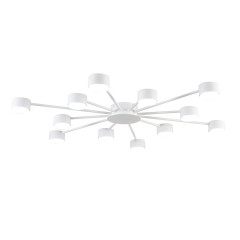 Потолочная люстра Lumion Comfi Torina 8343/12C