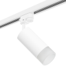 Трековый светильник Lightstar Rullo R1T43631 (214436+592056+202431)