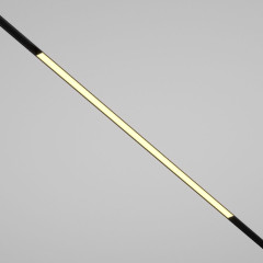 Трековый магнитный светильник Maytoni Basis TR030-2-30W2.7K-B