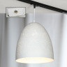 Трековый светильник однофазный Lussole LOFT Track Lights LSP-9891-TAW