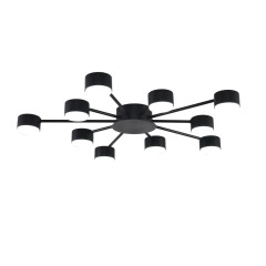 Потолочная люстра Lumion Comfi Torina 8344/10C