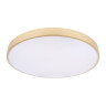 Потолочный светильник Loft IT Flims 10228/B