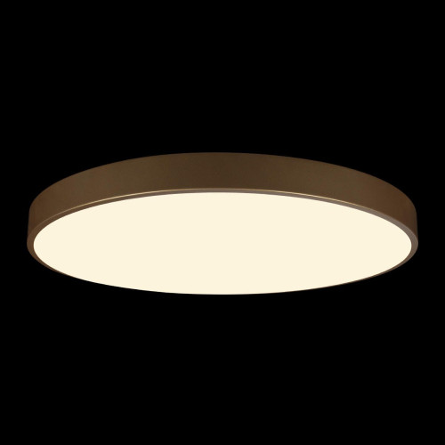 Потолочный светильник Loft IT Flims 10228/B