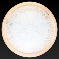 Настенно-потолочный светодиодный светильник Toplight Agatha TL9260Y-00PN