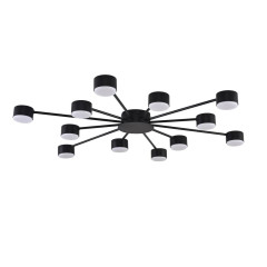 Потолочная люстра Lumion Comfi Torina 8344/12C