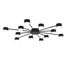 Потолочная люстра Lumion Comfi Torina 8344/12C
