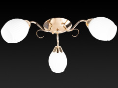 Потолочная люстра Toplight Kristin TL3520X-03FG