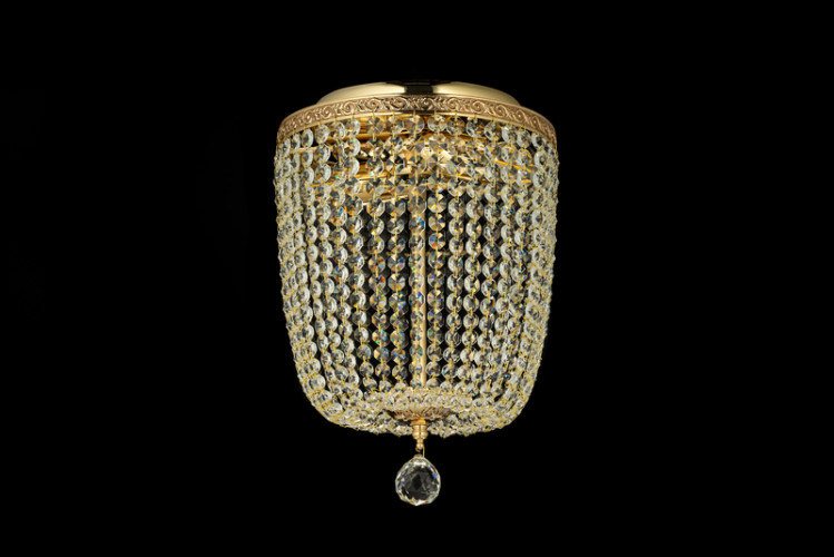 Накладная люстра Arti Lampadari Castellana E 1.2.25.501 G