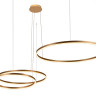 Подвесной светодиодный светильник Loft IT Ring 10017/3M