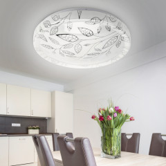 Потолочный светильник Эра SPB-6-24-4K Syuzi Б0054075