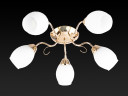 Потолочная люстра Toplight Kristin TL3520X-05FG