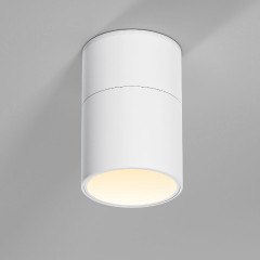 Накладной спот Elektrostandard Rolly 25112/LED 4690389207853 a067486